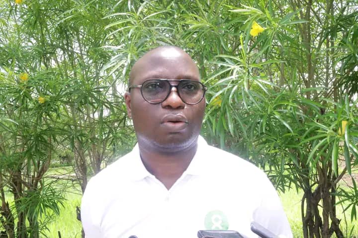 Tree Planting Not Enough in Addressing Climate Change; Experts Warns.